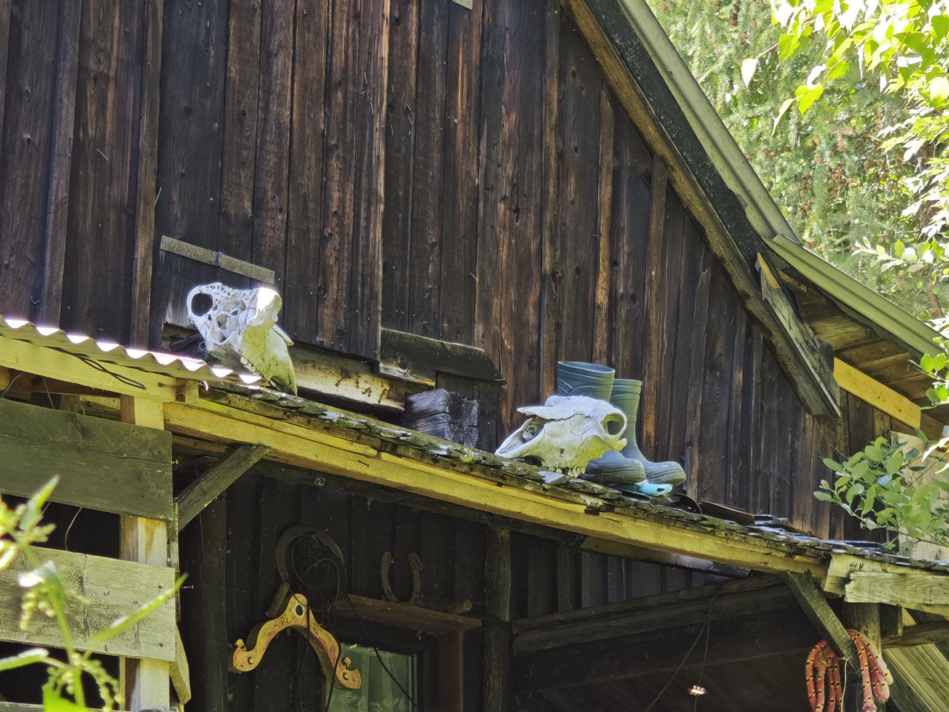 Chatka pod Potrójną