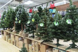 Czesi na świątecznych zakupach w Polsce. Narzekają na jeden produkt