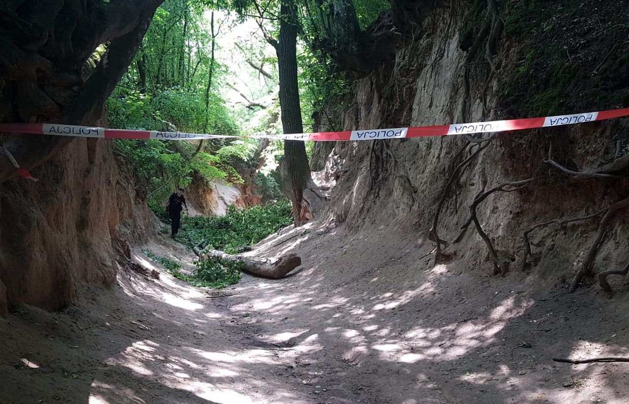 Konar spadł na dzieci. Popularna atrakcja zamknięta do odwołania