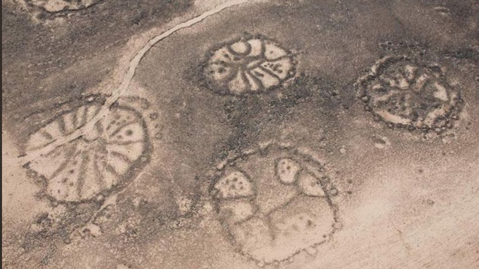 Tajemnicze koła z Jordanii