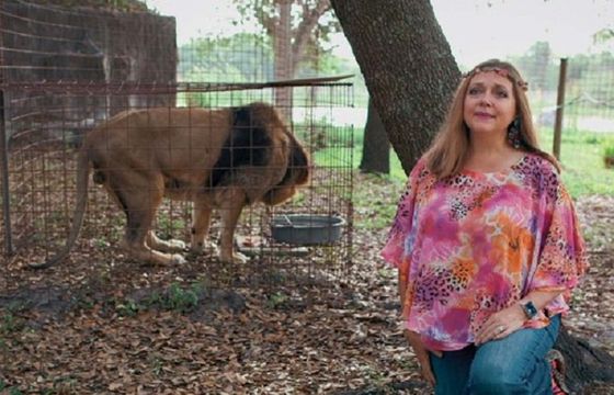 Bohaterka "Króla Tygrysów" Carole Baskin pozywa Netflix