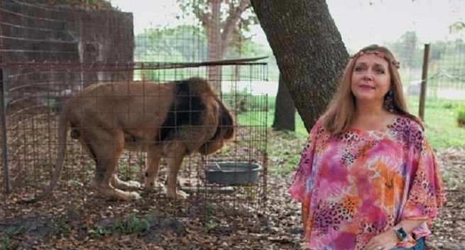 Bohaterka "Króla Tygrysów" Carole Baskin pozywa Netflix