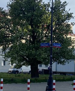 Warszawa. Mieszkańcy sami urządzą miasto. Konsultacje na Górnym Mokotowie