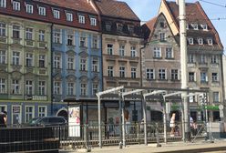 Wrocław. Zieleń i kwiaty wokół wiaty. Modernizuje się przystanek na Kazimierza Wielkiego