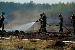 Pożar w parku narodowym. Tusk: Koniec akcji