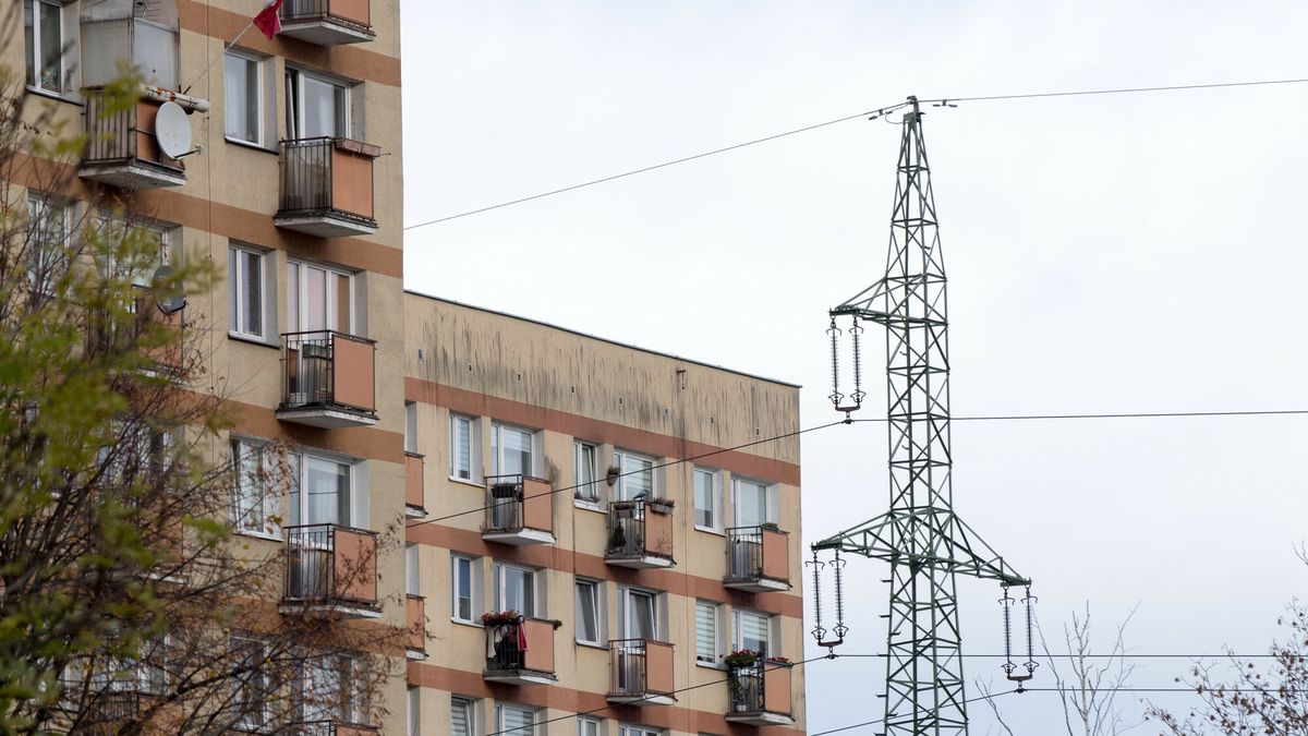 Reporter archiwum 2024 11
01.11.2024 Sopot Brodwino Osiedle Linia wysokiego napieciaFot. Wojciech Strozyk/REPORTER
Wojciech Strozyk/REPORTER