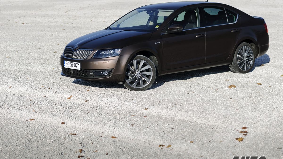 Zdjęcie ilustracyjne do artykułu