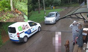 Szokująca historia ze schroniska. Chcieli oddać psa. Tak się zachowali