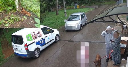 Szokująca historia ze schroniska. Chcieli oddać psa. Tak go znaleziono