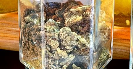 Naturalny antybiotyk. Zatrzymuje starzenie się i gasi stan zapalny