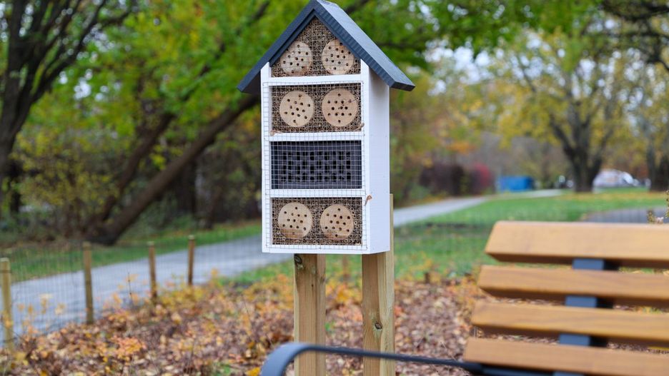 źródło: Facebook/Grzegorz Pietruczuk - Burmistrz Dzielnicy Bielany