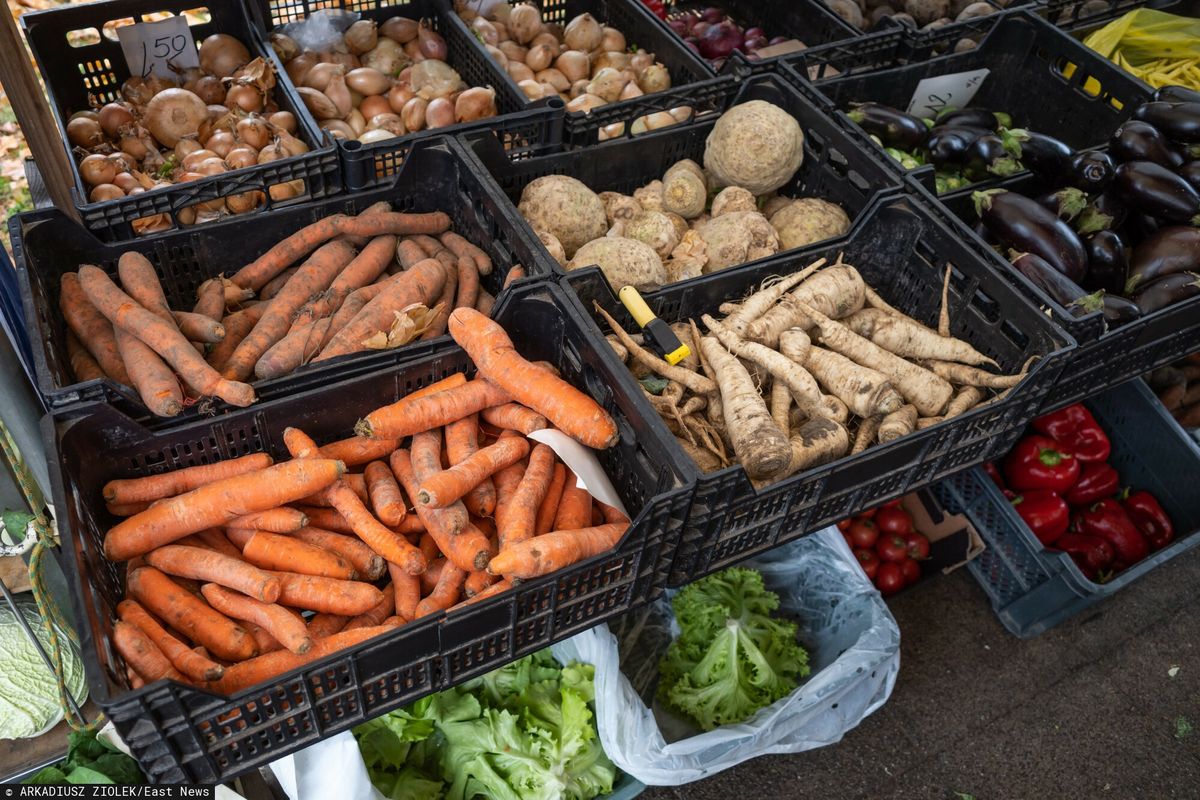 W 2023 r. Polska zaimportowała prawie 40 tys. ton warzyw z Rosji