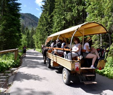 Nad Morskie Oko tylko pieszo? Lewica szykuje projekt