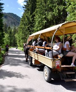 Nad Morskie Oko tylko pieszo? Lewica szykuje projekt