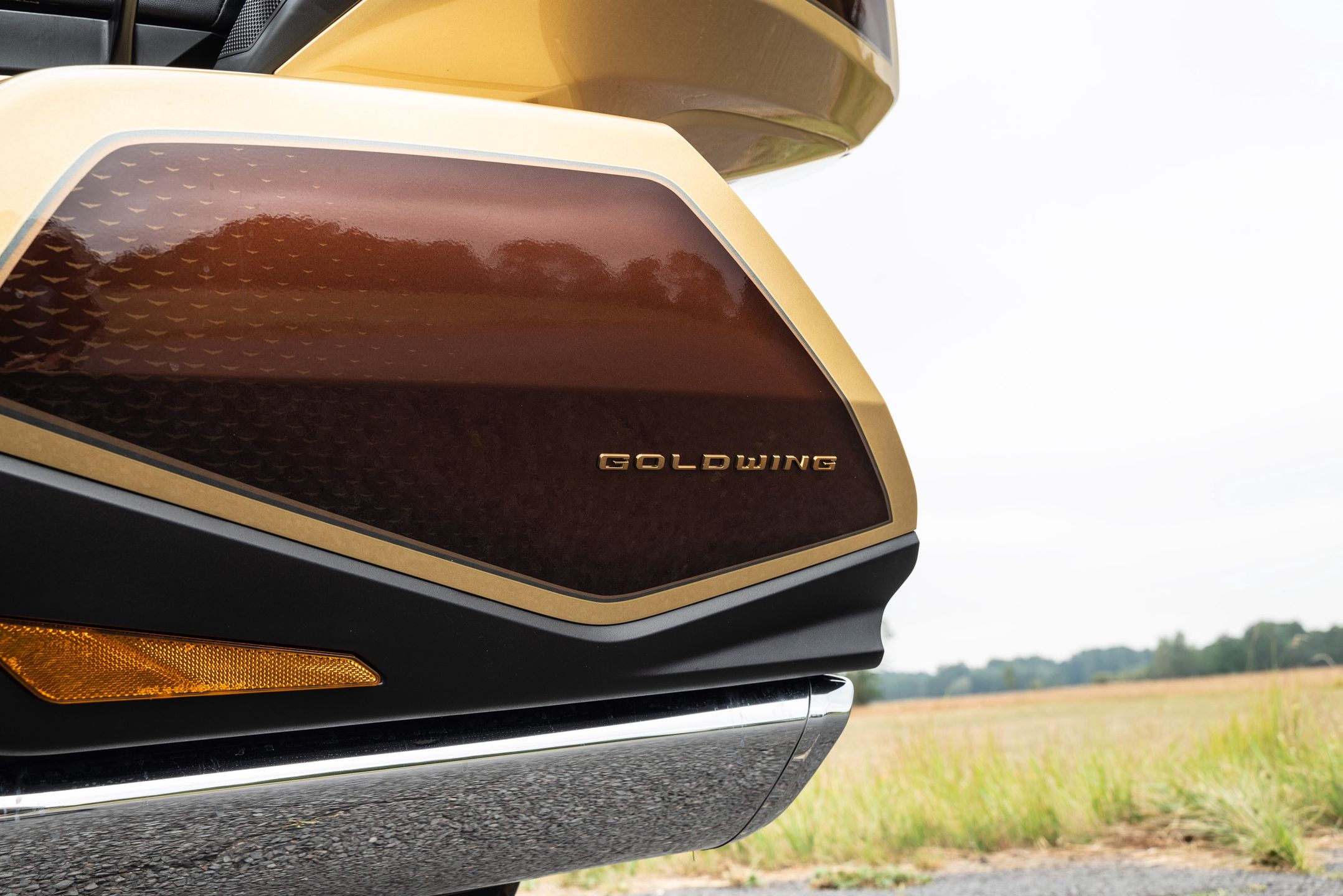 Honda GL1800 Gold Wing