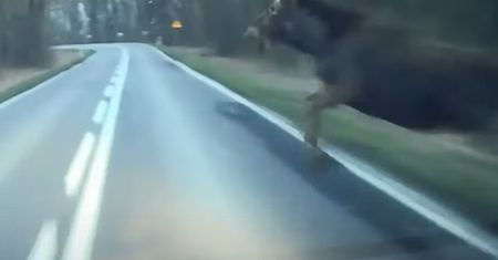 Kierowca nie miał szans zareagować. Zderzenie nagrała kamera