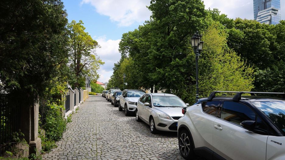 Auta, mimo usunięcia przez ratusz miejsc parkingowych na al. Pod Kasztanami, nadal tam parkują.