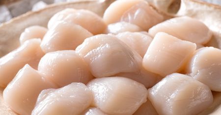 Cena za kilogram dosłownie zwala z nóg. Na polskich stołach goszczą bardzo rzadko