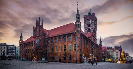 Pogoda w Toruniu. Prognoza na poniedziałek 26 stycznia. Chłód i miejscowe mgły, bez opadów