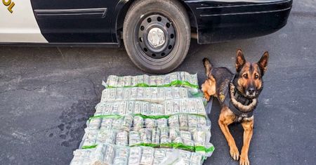 USA. W trakcie pościgu podejrzani wyrzucili z auta prawie milion dolarów