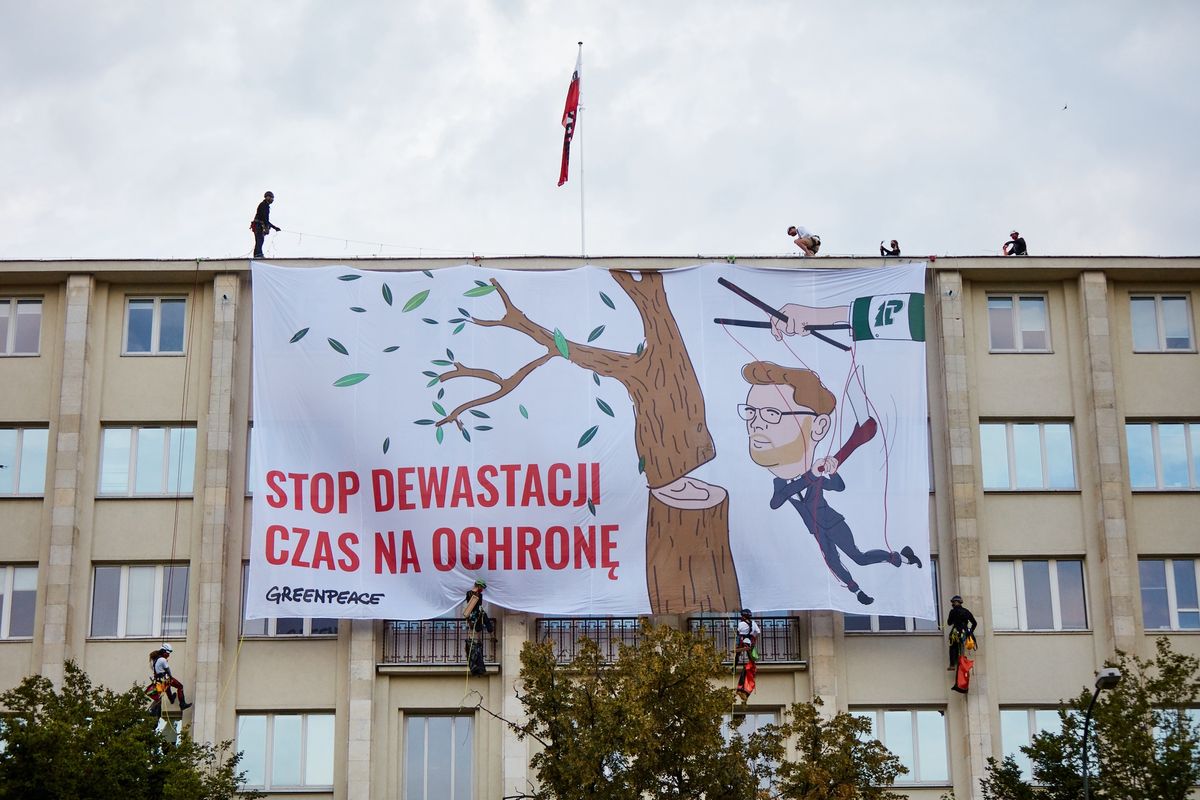Greenpeace na gmachu resortu środowiska. Aktywiści sprzeciwiają się wycinkom drzew i krytykują ministra środowiska