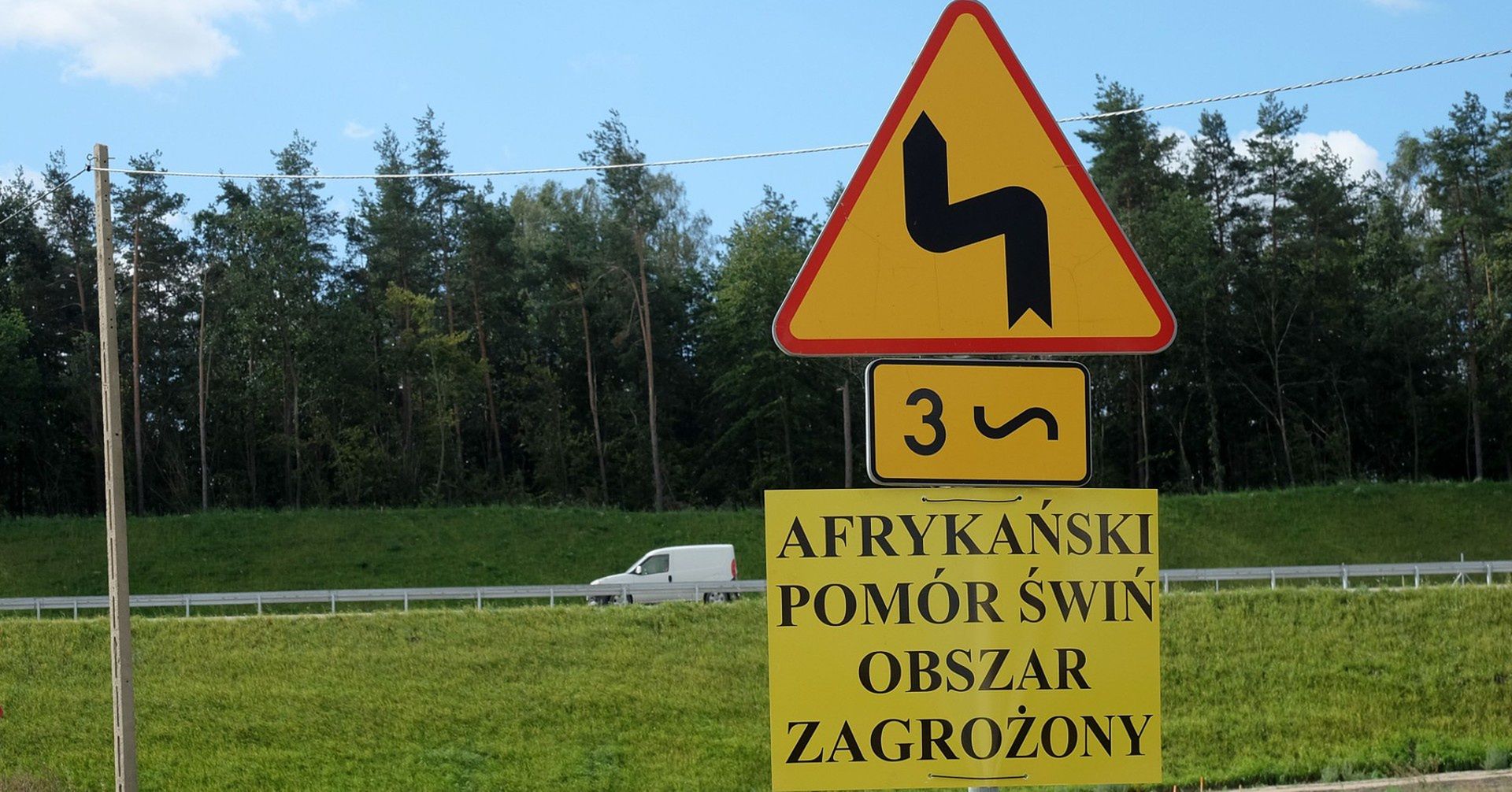 Inspektorzy weterynaryjni sprawdzają jak doszło do powstania ogniska ASF w hodowli trzody chlewnej w Chaławach. Straty mogą być ogromne
