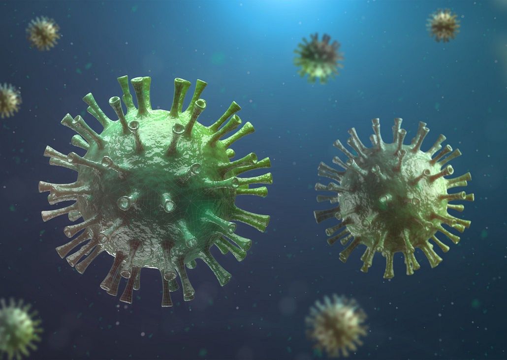 Nowoodkryty wirus może być blisko spokrewniony z SARS-CoV-2