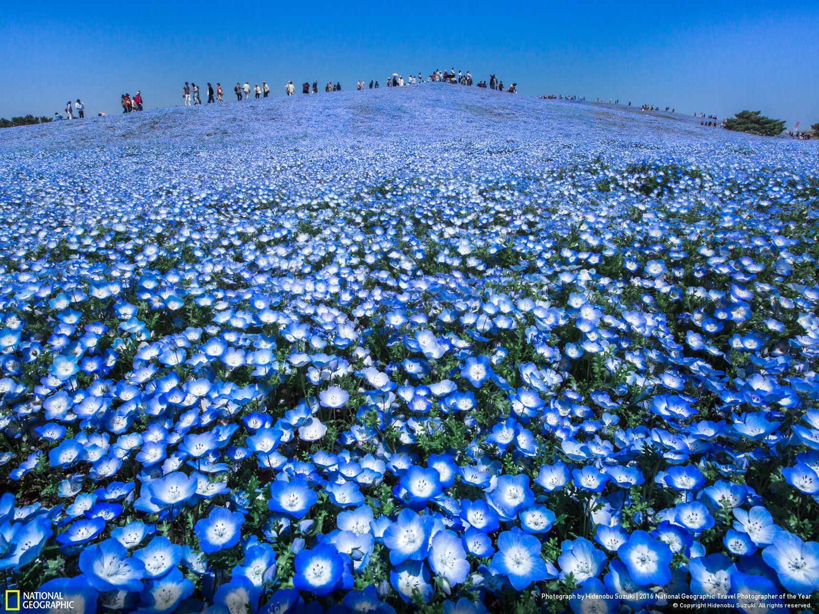 Najciekawsze prace konkursu National Geographic Travel Photographer of the Year 2016 17