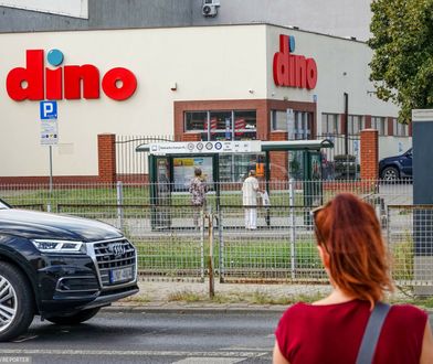 Dino w Polsce jak Lidl w Niemczech. Oto co łączy te dwie sieci