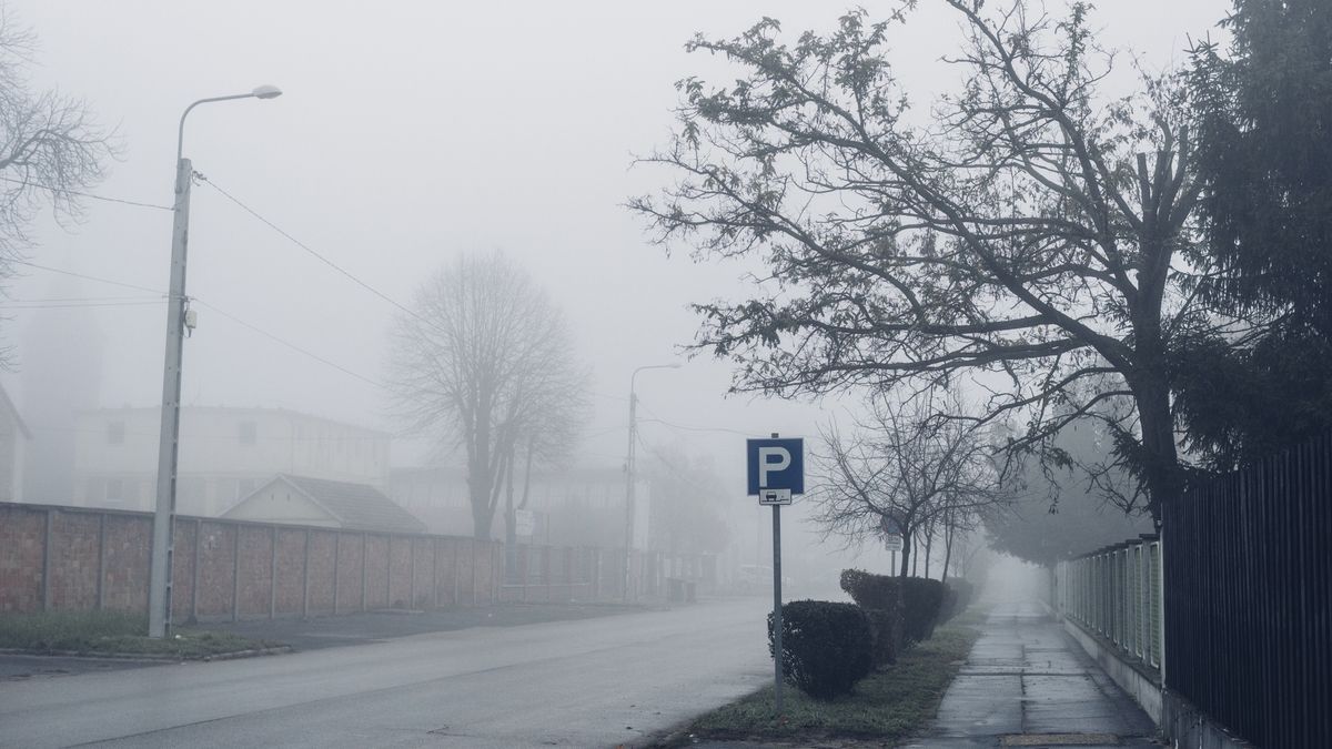 Empty street on foggy autumn morning
By Anna Rostova