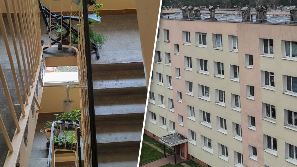 Rząd chce wprowadzić tzw. najem senioralny. Oto jego założenia