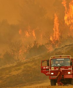 Pożary w Turcji. Wstrząsające relacje polskich turystów. "Nie widać słońca"