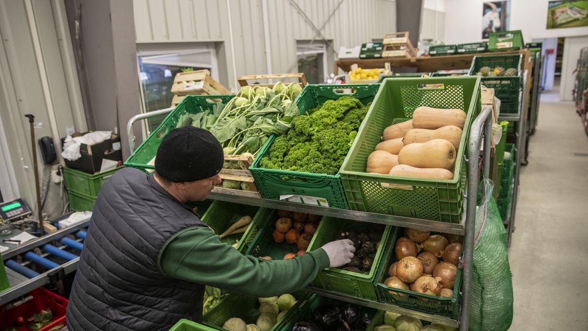 CHORIN, GERMANY - JANUARY 22: A worker prepares home deliveries of organic groceries at the Ökodorf Brodowin organic foods producer and distributor during the second wave of the coronavirus pandemic on January 22, 2021 near Chorin, Germany. Ökodorf Brodowin has seen the number of its delivery customers, most of them in nearby Berlin, soar during the pandemic. A company spokeswoman attributes the rise to a combination of factors, including the general rise in popularity of online grocery orders, people reluctant to shop in person out of fear of COVID exposure and also people in other parts of Germany ordering groceries to be delivered to elderly family members in Berlin. (Photo by Maja Hitij/Getty Images)