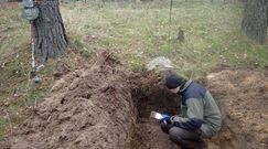Niemieckie groby wojenne. Odkopali mogiłę sprzed 75 lat