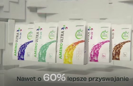 Kampania Intermag autorstwa H2O emitowana na 12 rynkach