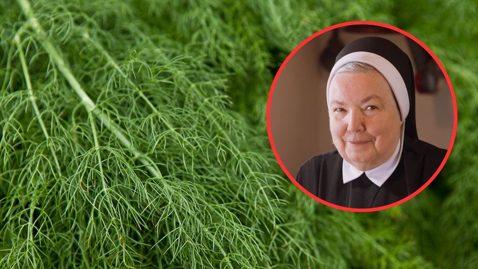 Ta sałatka może być konkurencją dla sałatki jarzynowej!