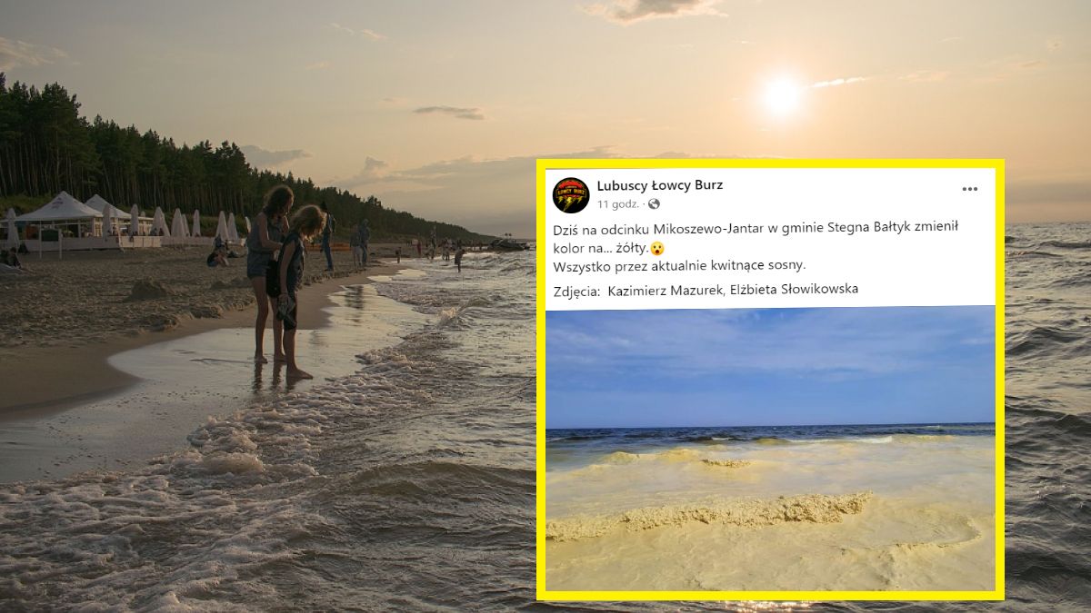 Żółta woda w Bałtyku: o co chodzi?