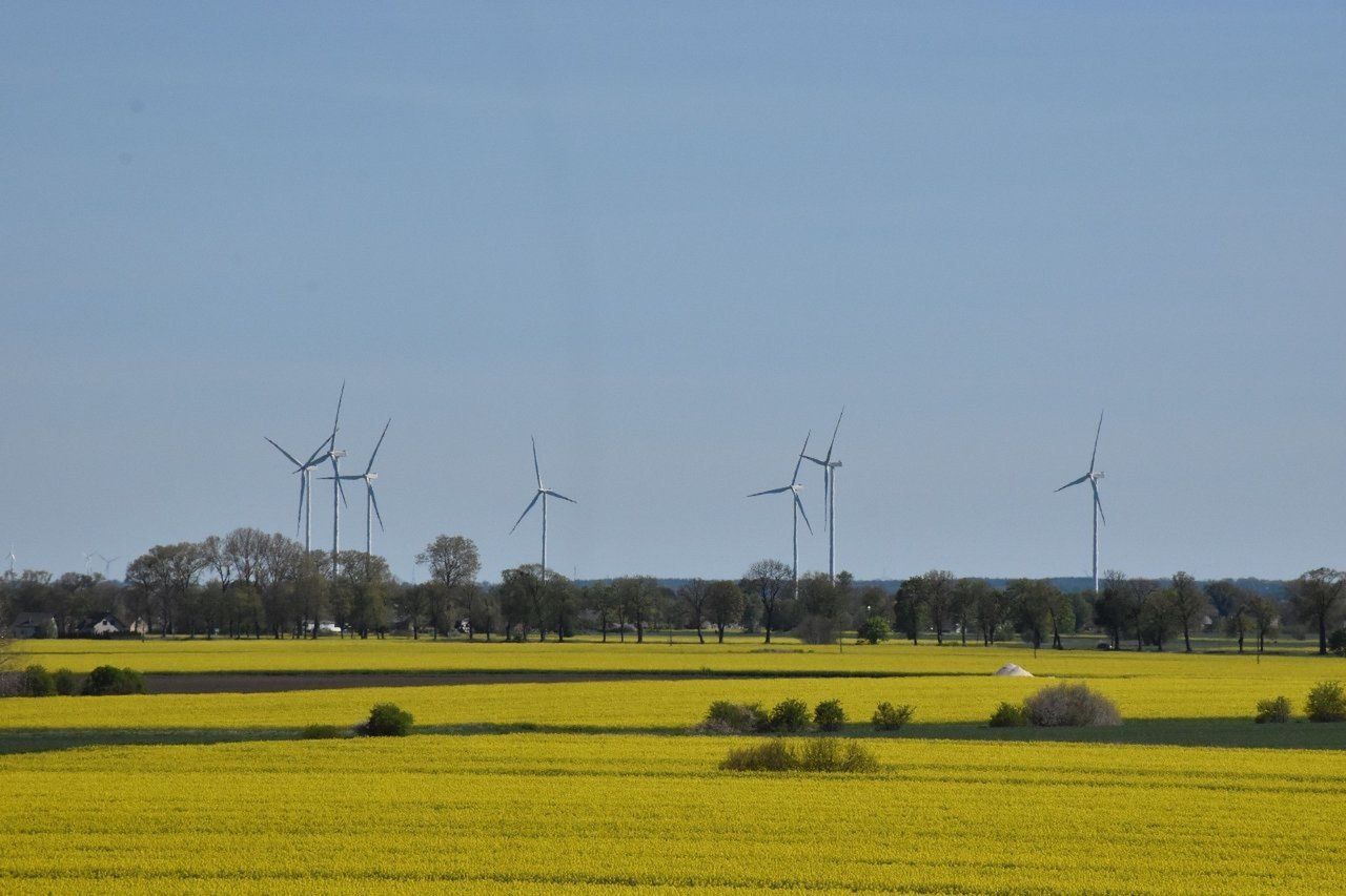 Istniejąca farma wiatrowa w gminie Miłoradz. Widok z gminy Lichnowy.