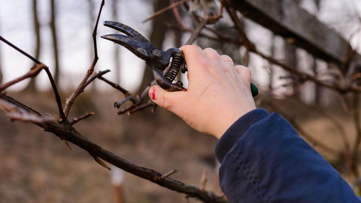 Szczepienia przeciwko tężcowi trzeba powtarzać - co 10 lat. To najskuteczniejsza ochrona przed groźną chorobą