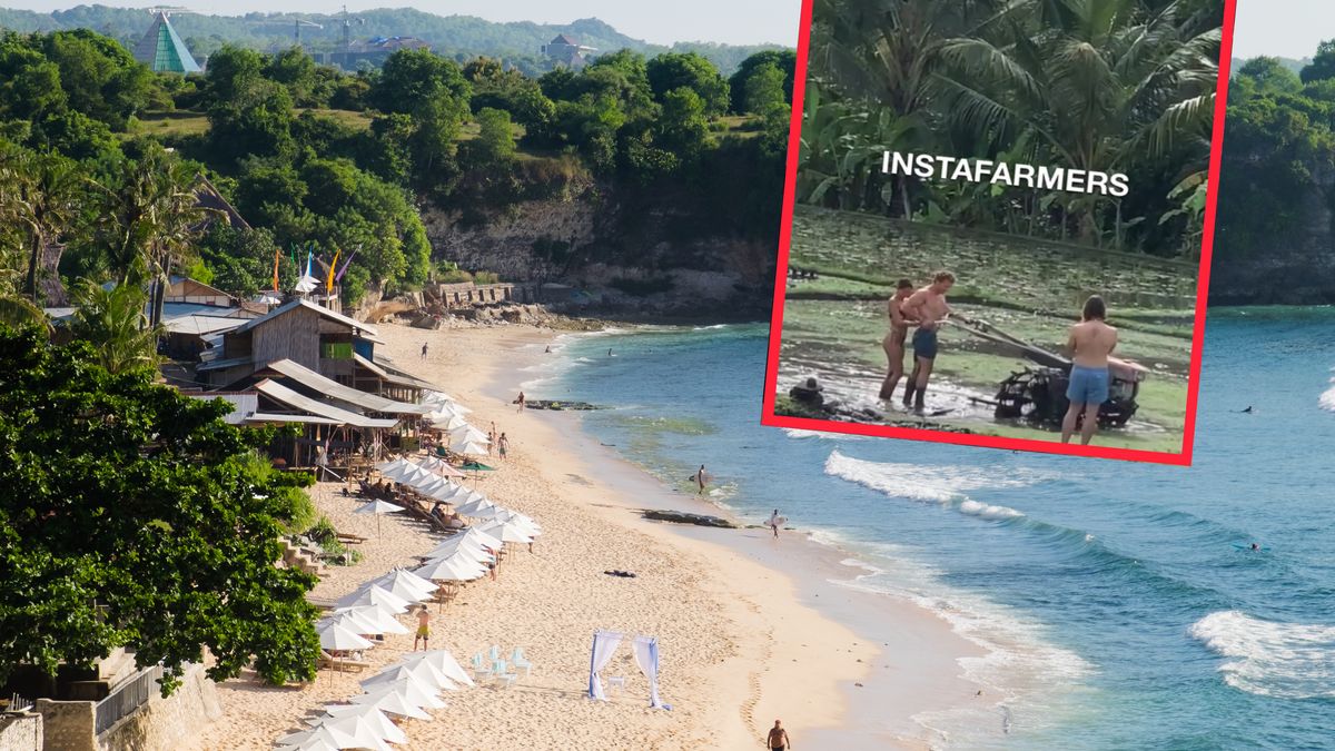 Internauci wyśmiali trystów-pozerów