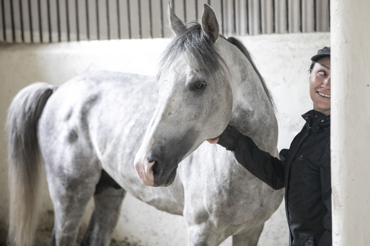 Janów Podlaski to znana na całym świecie stadnina koni. W 2016 roku odszedł z niej prezes Marek Trela, który pracował tam szesnaście lat