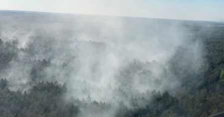 Pożar otuliny Puszczy Białowieskiej. Spłonęło 10 hektarów lasu [aktualizacja]