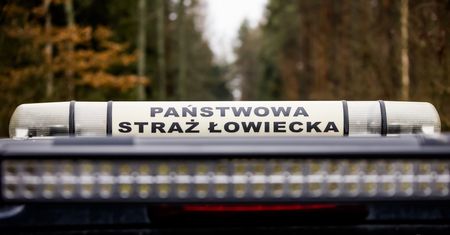 Posypią się mandaty za zaśmiecanie lasów? Resort chce, wystawiała je kolejna służba
