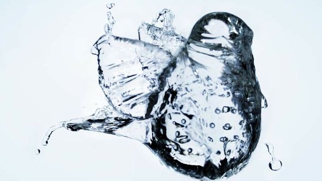 Najlepsze poradniki fotograficzne tygodnia - odcinek #2 marzec 1