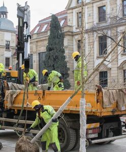 Katowice. Ul. Dworcowa zmienia oblicze, zamiast samochodów będą drzewa