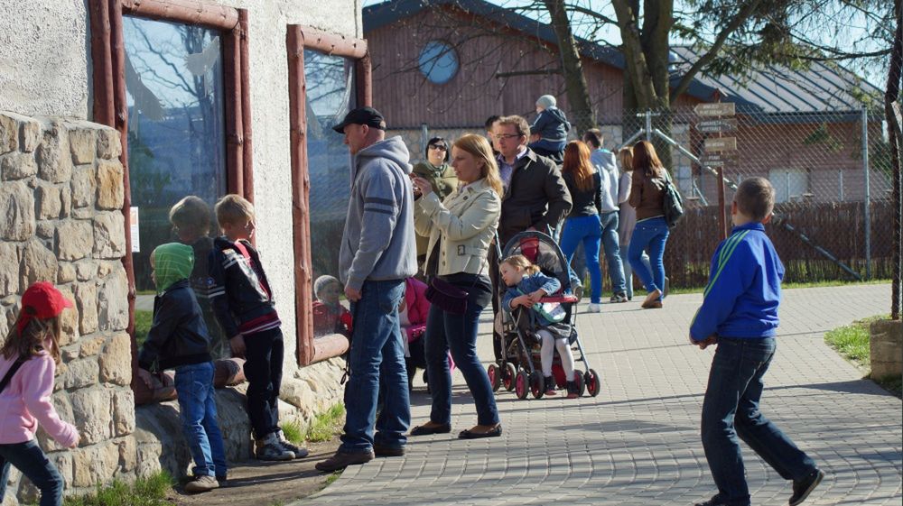 Niepokojące dane z polskiego miasta. Winne ceny?