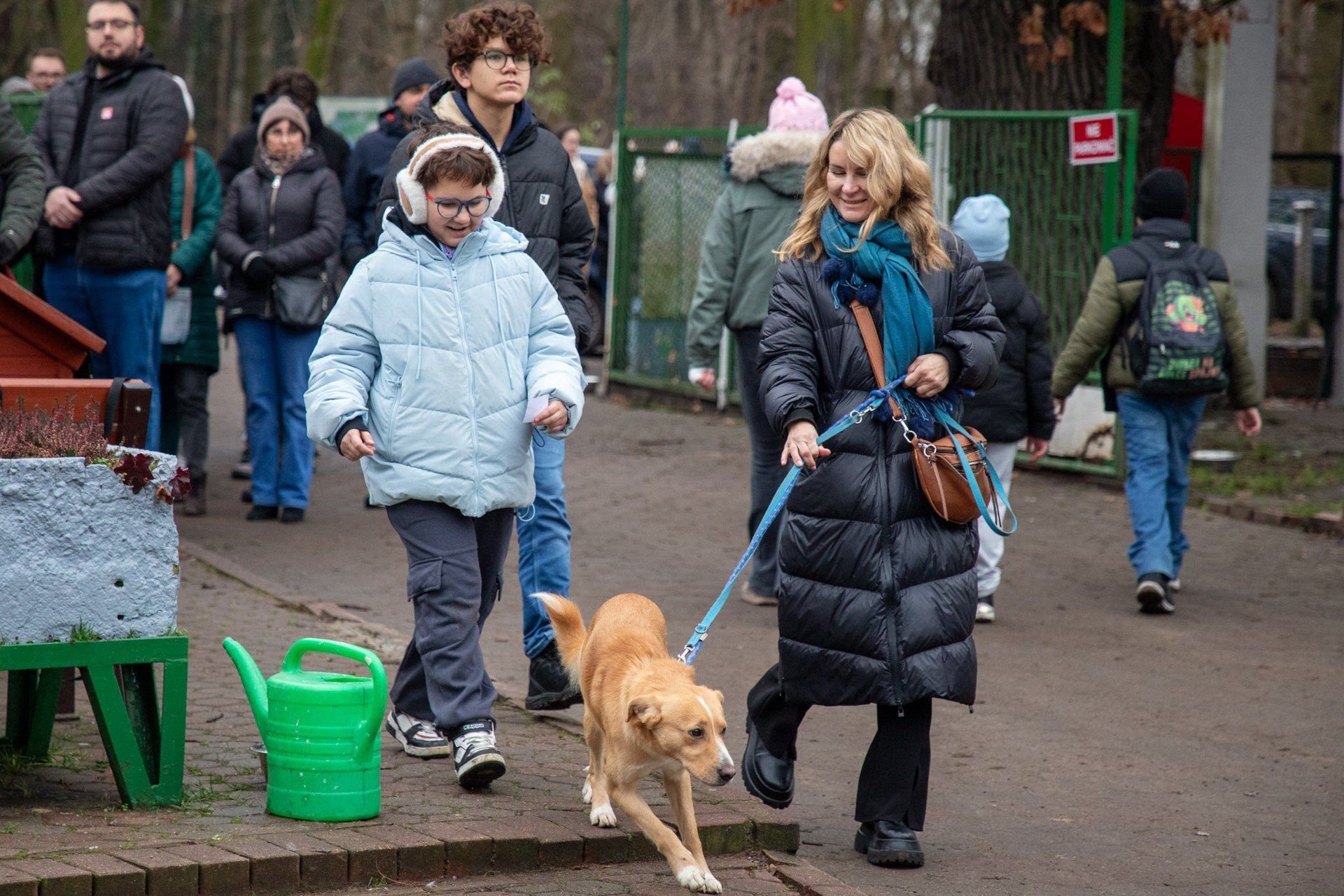 Akcja &#34;Wyprowadź psa na spacer&#34; w toruńskim schronisku
