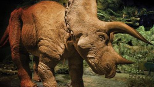 Ogromny, mechaniczny triceratops może być Twój! 1