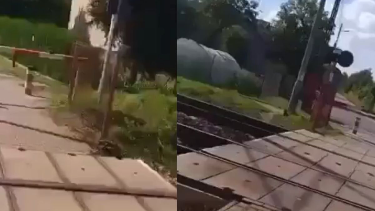 Nagranie niesie się po sieci