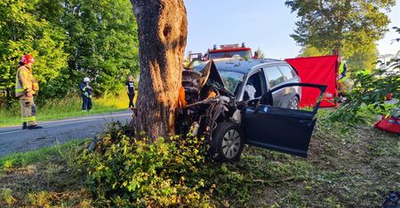 Tragedia na drodze. Audi z zmiażdżone na drzewie